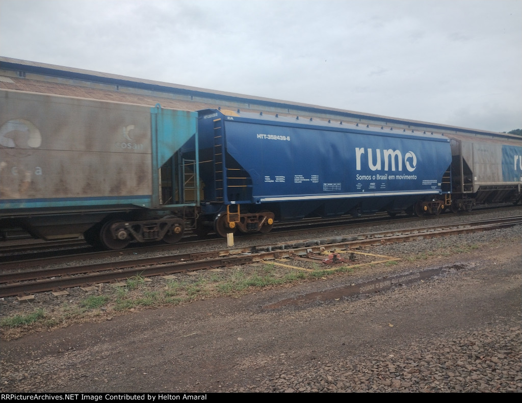 RUMO HTT-352439-5